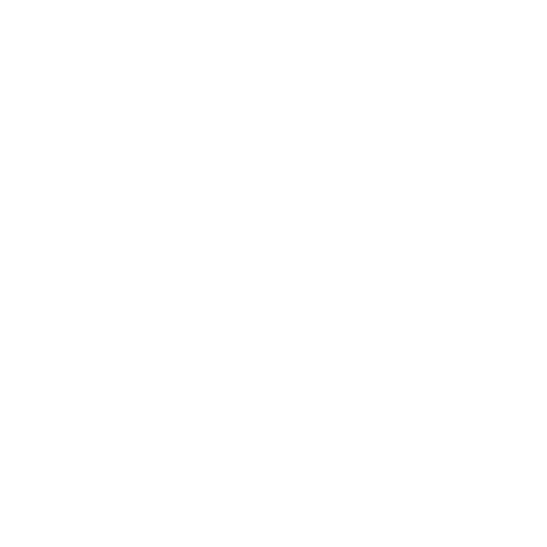 ROCK THE HILL ROCK THE HILL